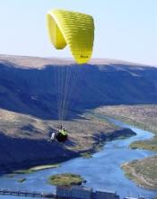 Mountain Flyer's Avatar