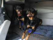 RottsATruckin's Avatar