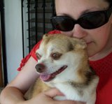 strawberryrhubarbpie's Avatar